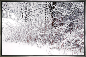 winter-lace.jpg