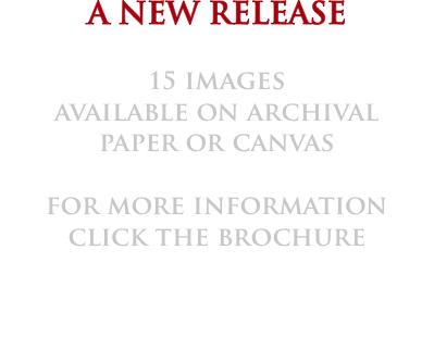 New Release - 15 new images, click brochure to the left